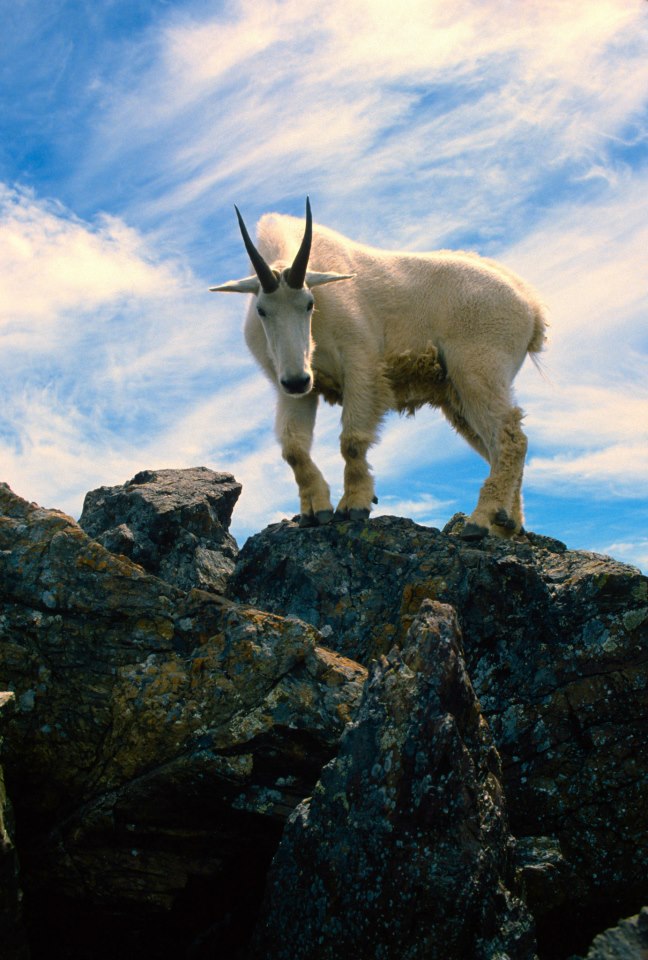 19796_10151434723034695_743466761_n