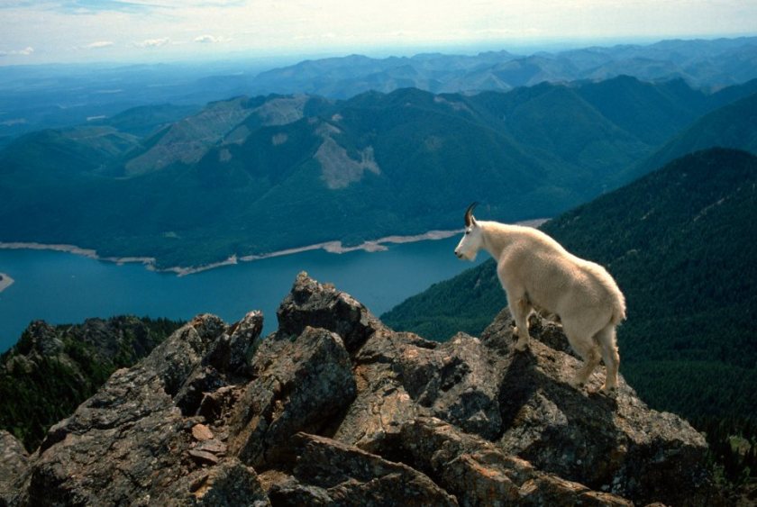 61773_10151437261484695_175000226_n