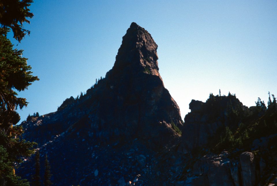 426095_10151439546869695_1263856233_n