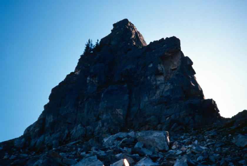 482590_10151439546774695_646478467_n