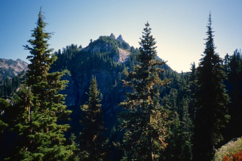 600729_10151439549034695_2026940708_n