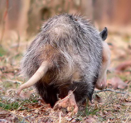 3261842445_0a0b5214c0