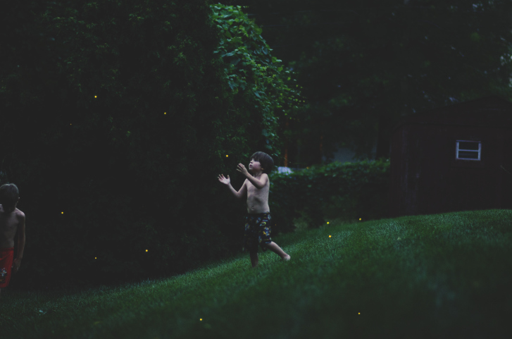 catching_fireflies_danobk