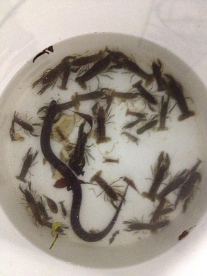 625417_3855506805752_121427869_n