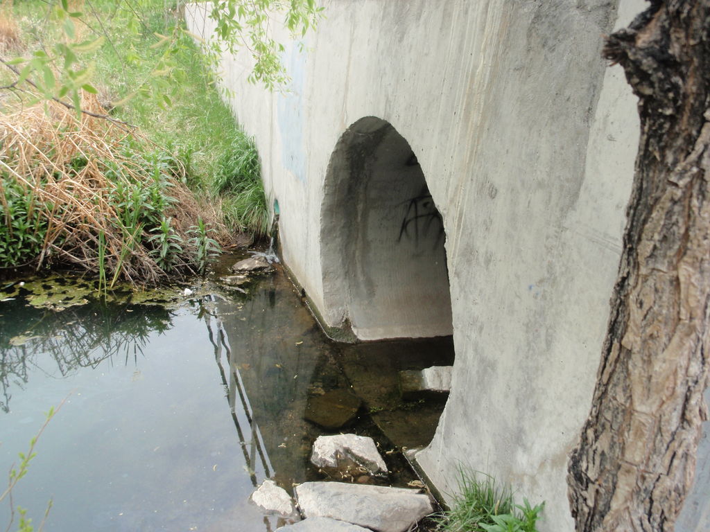 F7QKOFUH4AGM388.LARGE