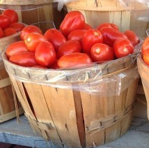 Tomato-Baskets-Square