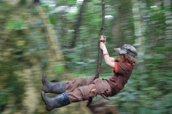 very-kid-s-dream-swinging