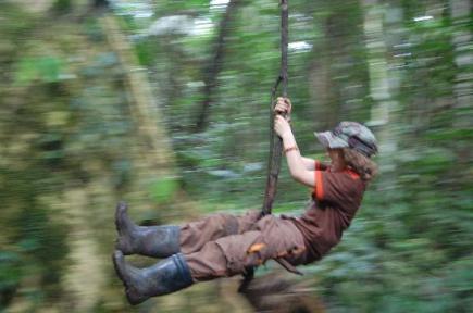 very-kid-s-dream-swinging