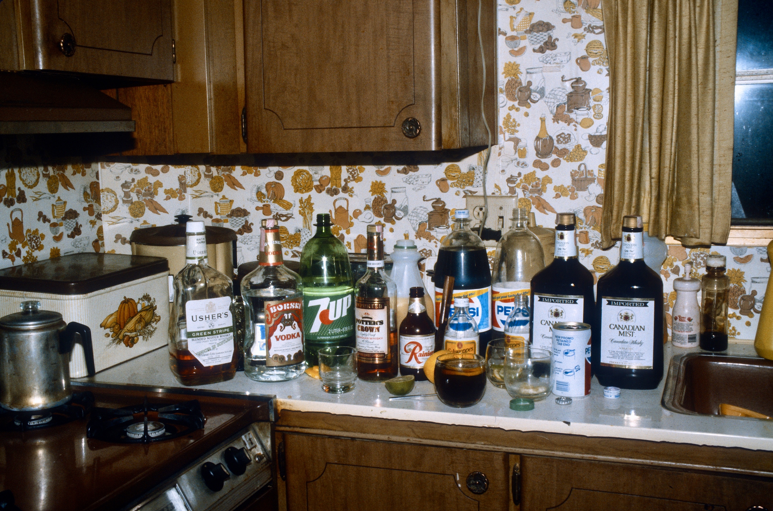 Trailer Party Bar 1982